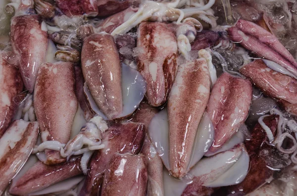 Seafood market - taze kalamar