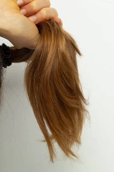 Suche Końce Zniszczonych Włosów Pielęgnacja Włosów — Zdjęcie stockowe