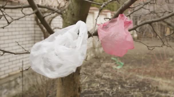 Пластиковые Пакеты Висят Дереве Концепция Окружающей Среды Мусор Природе — стоковое видео