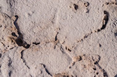 Yüzeyinde çatlaklar olan desenli kahverengi taş. kopyalama alanı. Tasarım için soyut taş arkaplan. deniz taşı.