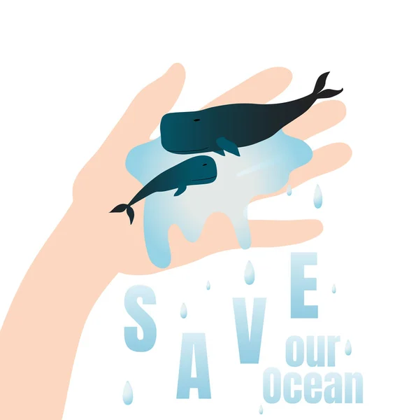 私たちの海を救うという生態学的概念 澄んだ水の中で男の手に赤ちゃんを持つクジラ — ストック写真