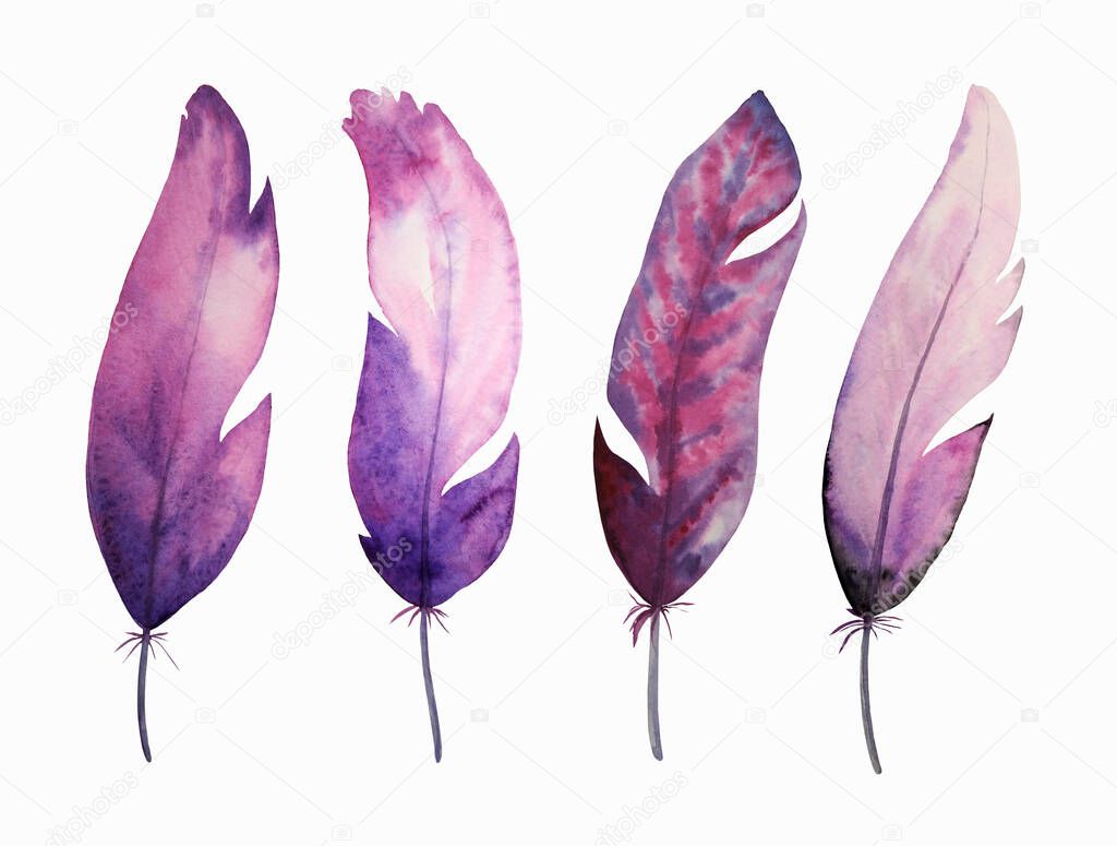 Purple and magenta watercolor feathers. Bird feathers are hand-drawn and isolated on a white background. 