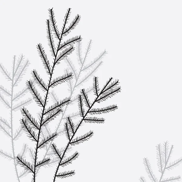 Ramas de árbol de Navidad — Vector de stock