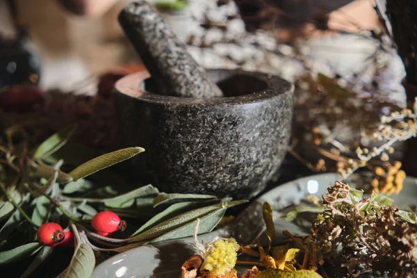 Çay, tentür ve ilaç yapmak için kurutulmuş otlar. Beden eğitimi, alternatif tıp.. 