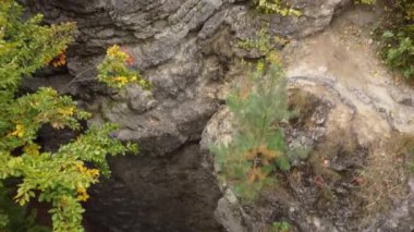 Kuadrokopterden hava görüntüsü. Kız, güzel sonbahar ormanlarının arasında bir kayanın tepesinde spor yapıyor. Doğada kadın eğitimi. Sağlıklı yaşam tarzı, spor, yoga, spor
