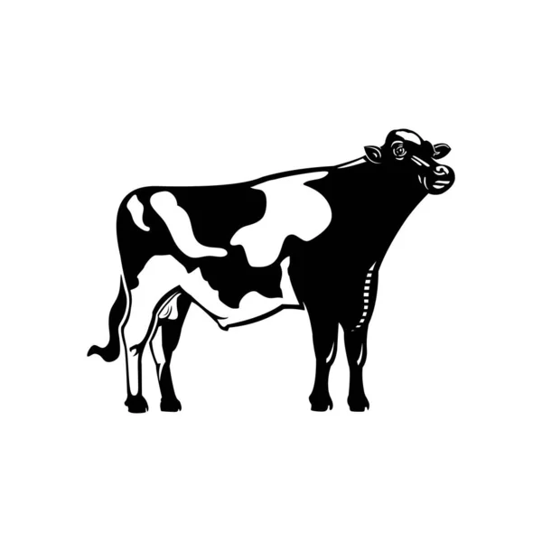 Holstein Byk Logo Wielka Sylwetka Silnego Zdrowego Byka Wektor Ilustracji — Wektor stockowy