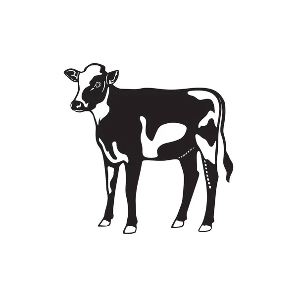 Vaca Logotipo Vaca Jovem Silhueta Saudável Bezerro Vetor Ilustração —  Vetores de Stock