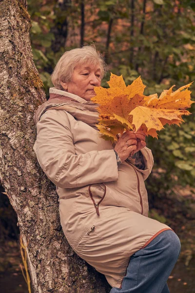 Elderly Gray Haired Woman Light Jacket Walking Park Bouquet Leaves — Stock Photo, Image