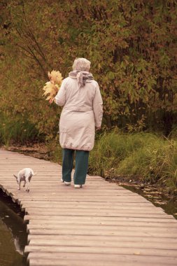 Sarı akçaağaç yapraklarından bir buket ile yaşlı bir kadın, açık renk ceket giymiş, sonbahar parkında bir göletin üzerinde ahşap bir güvertede yürür..