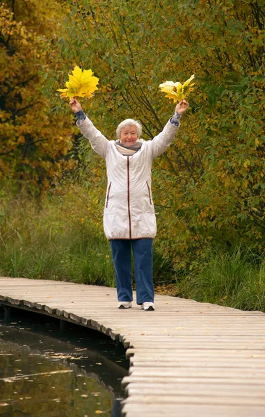 Una Anciana Con Ramo Hojas Arce Amarillo Vestida Con Una Imagen De Stock