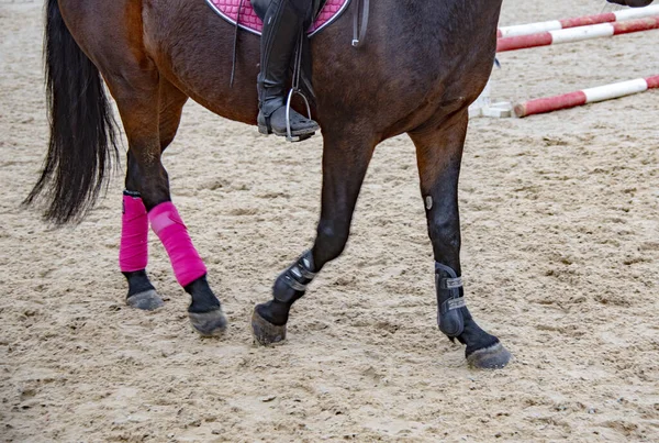 Close-up of the horse\'s hooves and legs in the arena while the horse is moving