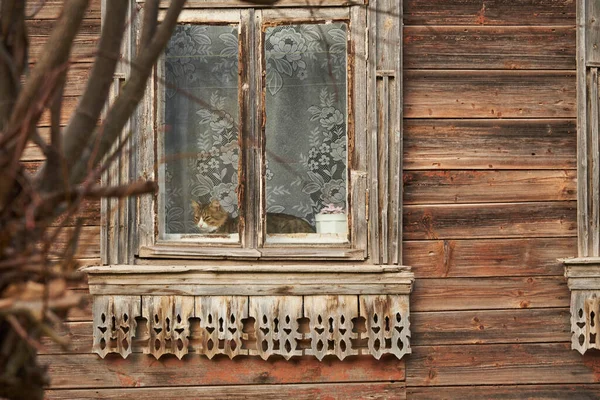Ein Altes Holzhaus Mit Geschnitzten Verkleidungsbrettern Eine Katze Schläft Auf — Stockfoto