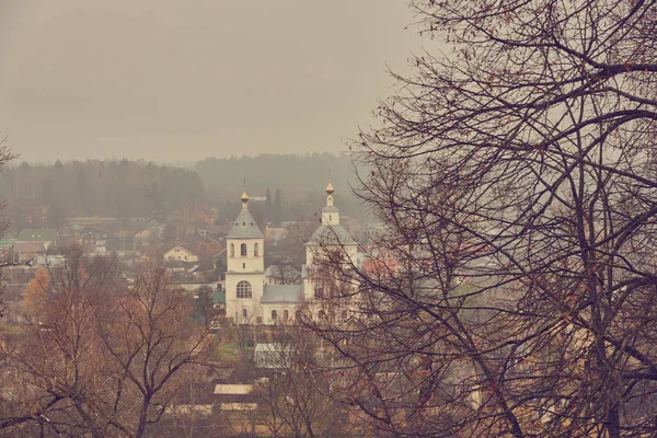 Vista desde la colina hasta el pueblo y la iglesia con cúpulas doradas. — Foto de Stock
