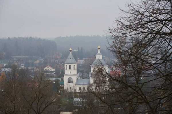 Вид Пагорба Село Церкву Золотими Куполами Хмарний Туманний Осінній День — стокове фото