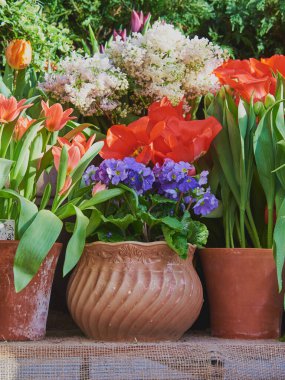 Parlak bahar çiçekleri olan birçok seramik kap bir sırada düzenlenir..