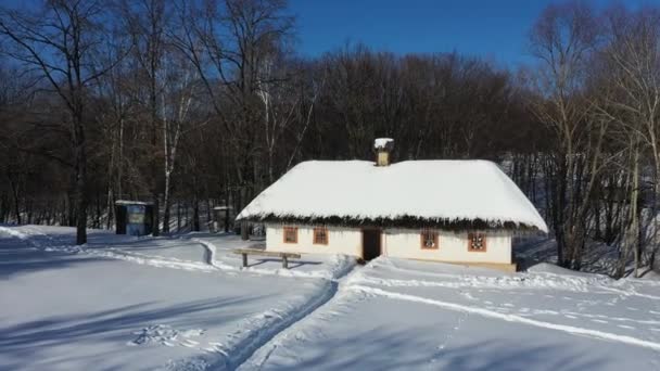 Año Nuevo en el pueblo. Paisaje invernal. Vista aérea. Pueblo tradicional ucraniano en invierno — Vídeos de Stock