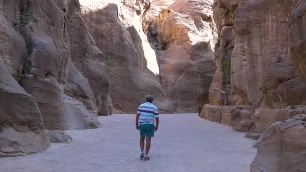 Petra, Ürdün 7 Mayıs 2021: Petra harabelerinde yürüyen eski Nabatean binaları kayalara oyulmuş bir turist — Stok video