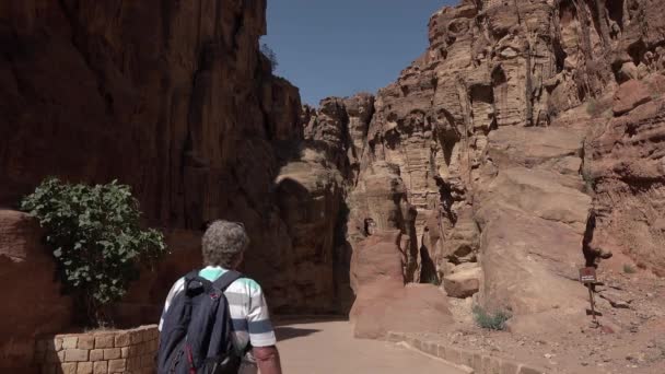 Petra, Jordania 7 de mayo de 2021: Turista caminando por las ruinas de Petra, con antiguos edificios nabateos tallados en rocas de la — Vídeos de Stock