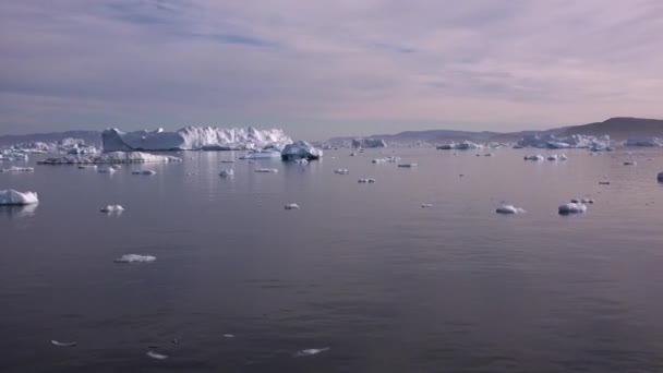 Arctic sailing among glaciers and floating ice blocks, in frozen sea and breathtaking landscape — Stock Video