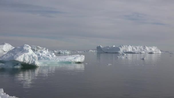 Navigation arctique entre glaciers et blocs de glace flottants, dans la mer gelée et un paysage à couper le souffle — Video