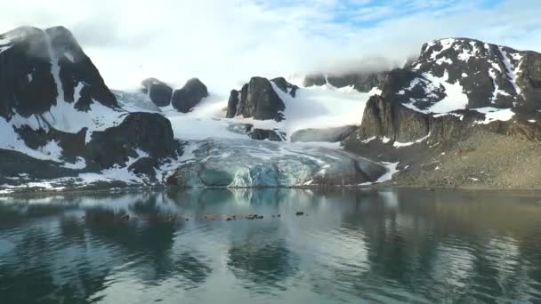 Zmiany klimatu. Topniejące lodowce i góry lodowe w oceanie. Arktyczny krajobraz lodowy przyrody UNESCO Światowego Dziedzictwa UNESCO. — Wideo stockowe