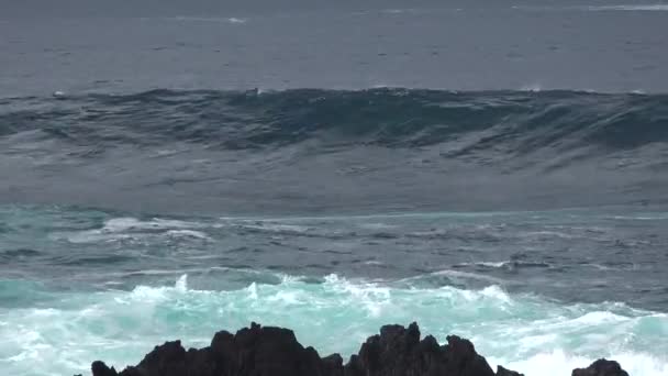 Waves of the Atlantic Ocean crash on coastal rocks — Stock Video