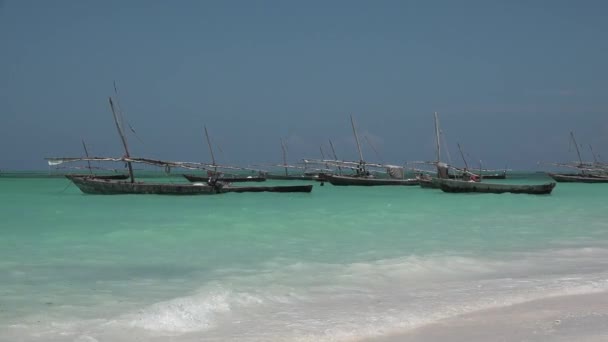 Boats of African fishermen in the Indian Ocean. Lot of African traditional wooden boats anchored on shallow water by the — Stock Video