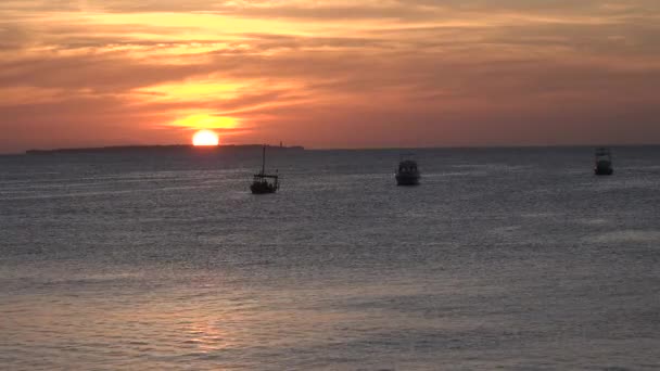 Boote afrikanischer Fischer im Indischen Ozean. Viele traditionelle afrikanische Holzboote, die im flachen Wasser vor Anker liegen — Stockvideo