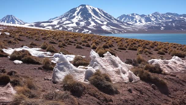 Een schilderachtig meer op grote hoogte omringd door bergen bedekt met sneeuw. Chili. — Stockvideo