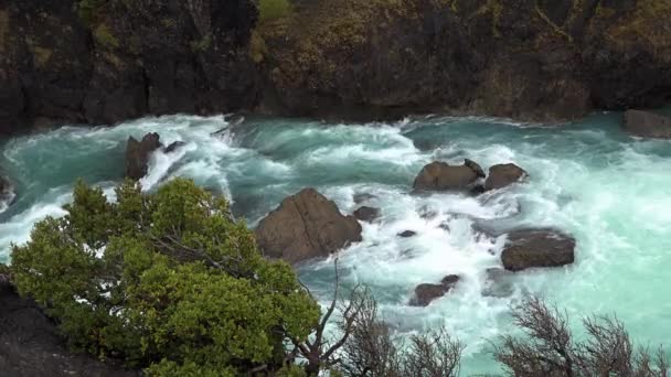파타고니아의 산을 흐르는 강입니다. 칠레의 국립 공원. — 비디오