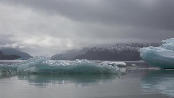 Icebergs azules en un lago glacial — Vídeos de Stock