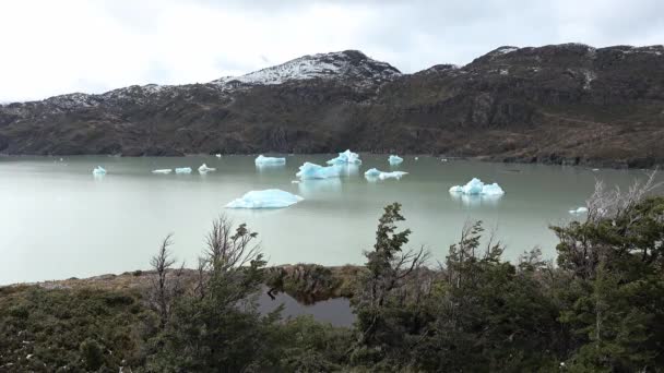 氷河湖の青い氷山 — ストック動画