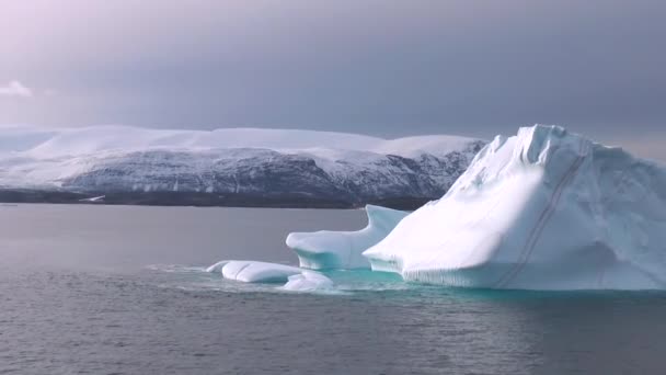 Arktisk segling bland glaciärer och flytande isblock, i fruset hav och hisnande landskap — Stockvideo