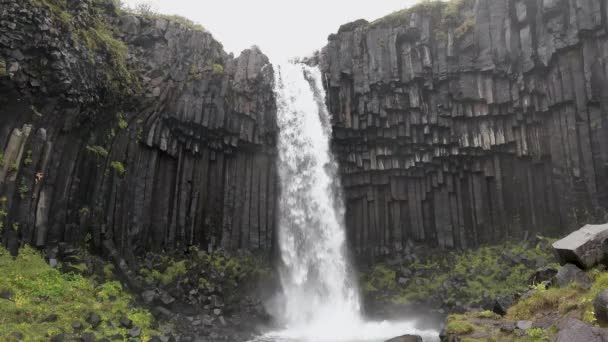 İzlanda. İnanılmaz İzlanda şelalesi ile resim gibi bir yaz sahnesi. — Stok video