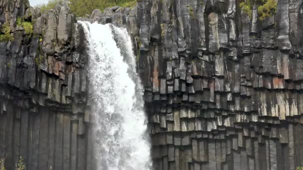 Islandia. Adegan musim panas Picturesque dengan air terjun Islandia yang menakjubkan. — Stok Video