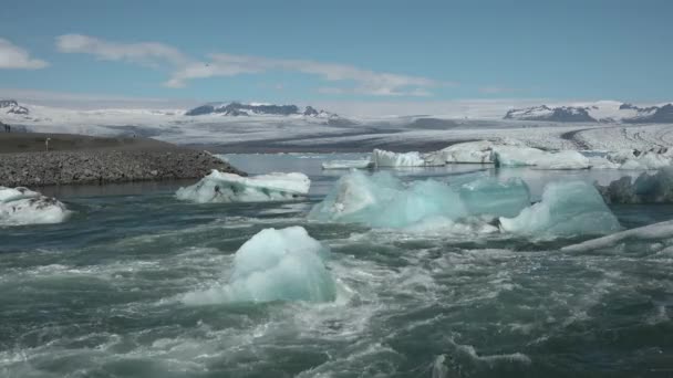 IJsland. IJsbergen in een gletsjermeer — Stockvideo