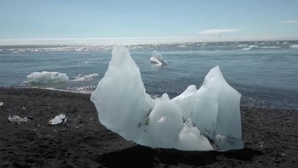 İzlanda. Buzdağları bir buzul gölünde — Stok video