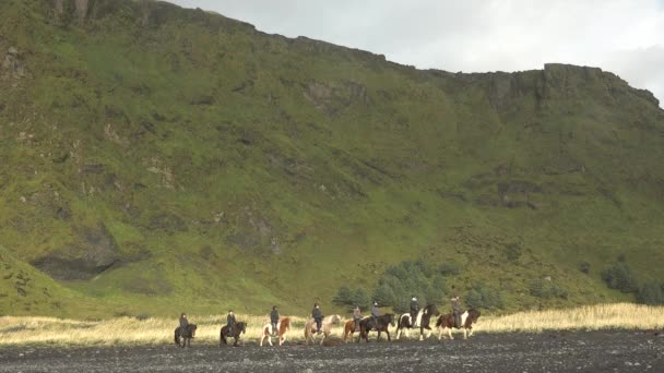 아이슬란드. 화산으로 인해 바위투성이 가 된 지역에서 말을 타고 가는 사람들. — 비디오