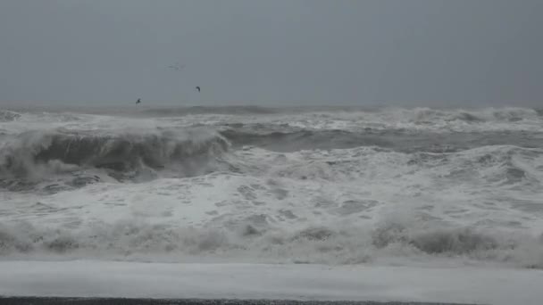 Rotsachtige oceaan kust in storm. Video 4K van golven in de Atlantische Oceaan. Film toont golven tijdens de storm. Zicht op exotisch — Stockvideo