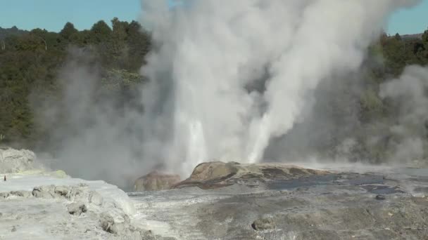 Eruption of the geyser. Scenic hot geyser eruption on sunny summer day in New Zealand. Hot boiling water splashing with — Stock Video