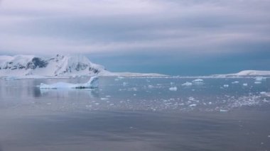 Doğanın güzelliği. Antarktika 'da eriyen buz. Küresel ısınma ve iklim değişikliği. Gezegenin doğasını kurtaralım.