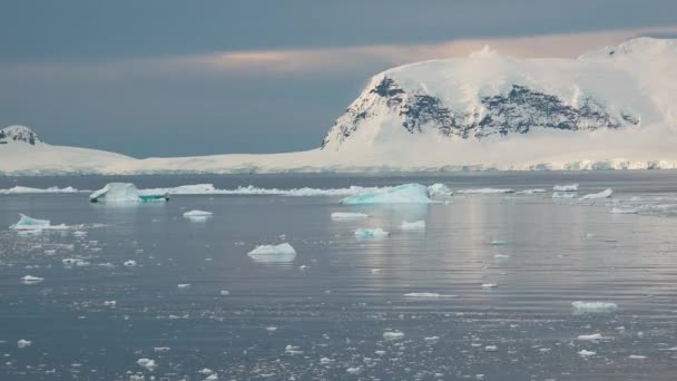大自然的美丽在南极融化的冰。全球变暖和气候变化。让我们拯救地球的自然吧 — 图库视频影像