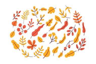 Sarı Yaprak vektör bileşimi. Sonbahar, sonbahar