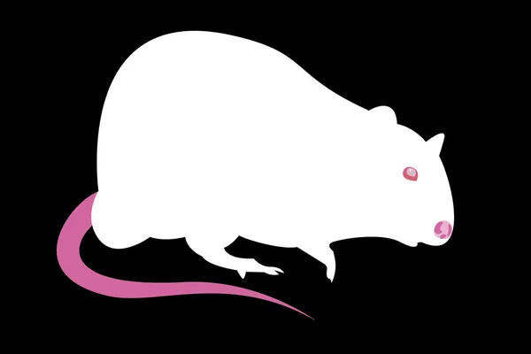 Witte rat — Stockvector