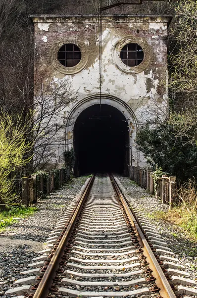 Övergivna järnvägstunnel — Stockfoto