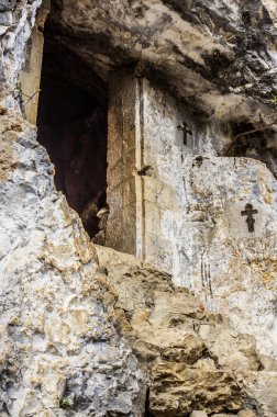 simon kananit hücre