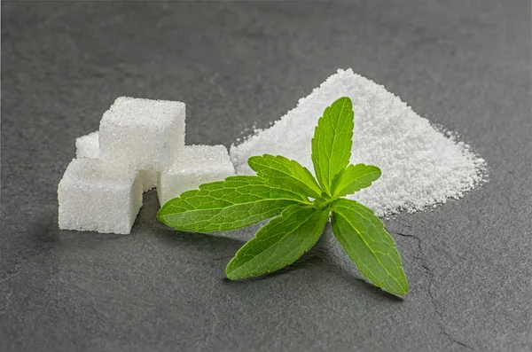 Feuilles de stévia avec poudre de stévia et cubes de sucre sur une plaque d'ardoise — Photo