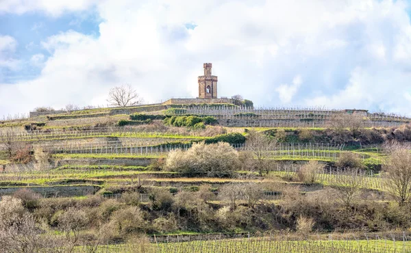 Tower in the vineyards — Stock Photo, Image