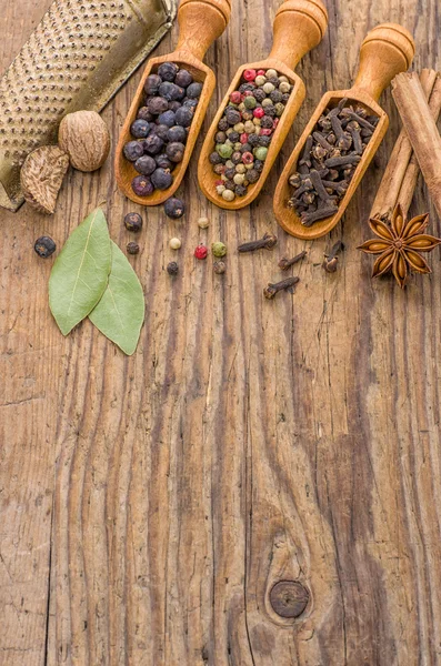Various spices in wooden scoops — Stock Photo, Image