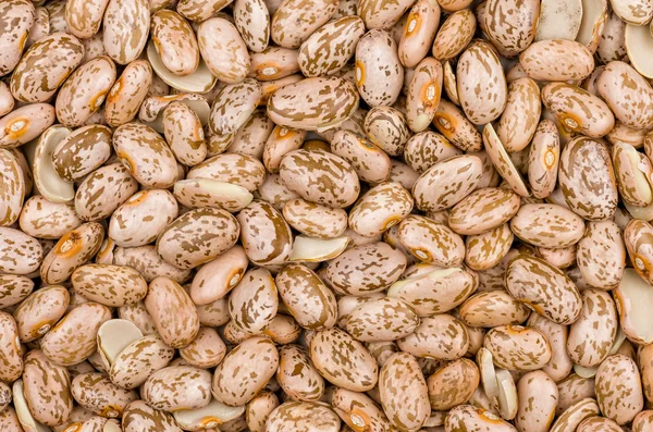 Closeup pinto beans texture — Stock Photo, Image